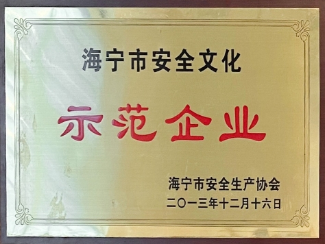 2013年度海寧市安全文化示范企業(yè)